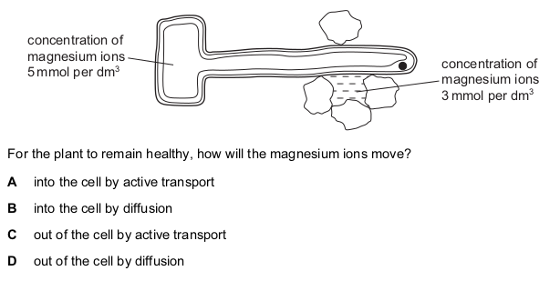 <p>The diagram shows the concentration of magnesium ions in a healthy root hair cell of a plant and</p>
<p>in the soil water surrounding it.</p>