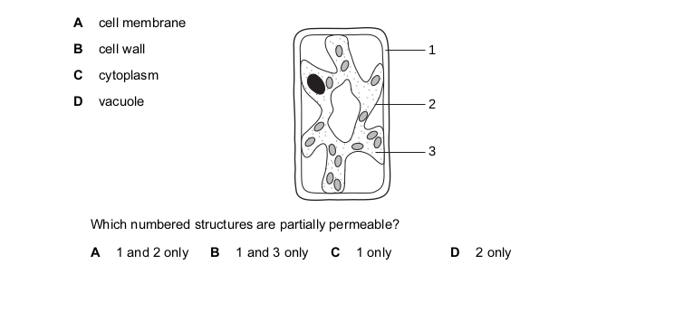 <p>The diagram shows a typical plant cell after being placed in a concentrated salt solution for ten minutes.</p>