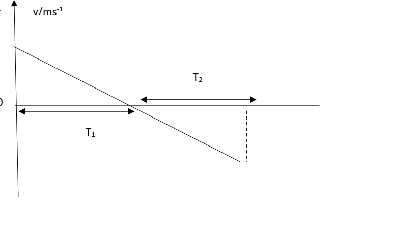 <p>&nbsp;The graph presents the motion of&nbsp;</p>