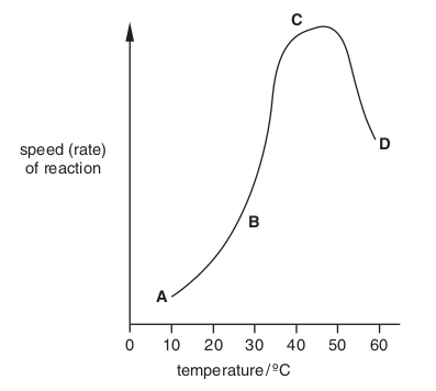 <p>The graph shows the effect of temperature on a chemical reaction which is controlled by enzymes.</p>
<p>At which point are most product molecules being released?</p>