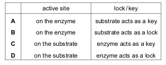 <p>Enzyme action can be explained by the lock and key hypothesis.</p>
<p>Where is the active site and which acts as the lock or key?</p>