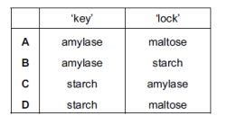 <p>Starch is digested to maltose by the enzyme amylase.</p>
<p>According to the ‘lock and key’ hypothesis, which is the ‘key’ and which is the ‘lock’?</p>
