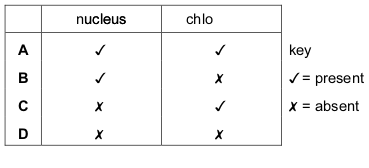 <p>The table shows some characteristics of four types of cell.</p>
<p>Which cell could be a root hair cell?</p>