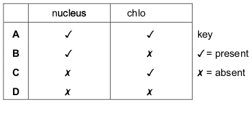 Cells, Tissues and Organs Revision Quiz by Cre8tive Resources