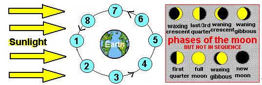 <p>The diagram shows a sequence of eight moon positions as it orbits the Earth. When viewed from Earth, which moon position corresponds to the waning gibbous phase?</p>
