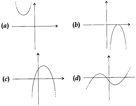 <p>Which of the following is not the graph of quadratic polynomial?</p>