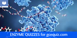 Enzyme Quiz