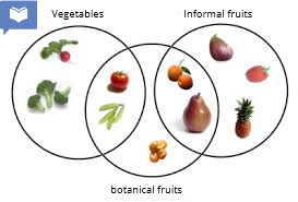 <p>Fruits are divided into several different kinds, and informal fruits are Joe's favorite. How many informal fruits do we have?</p>