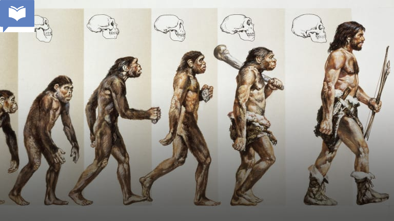<p>Humans evolved from_________.</p>