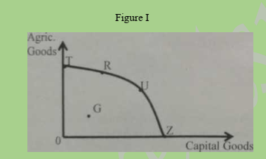 <p> This question is based of figure 1 below showing the PPC of a given economy  </p><p>    Letter Z represents which of the following alternatives?    </p>